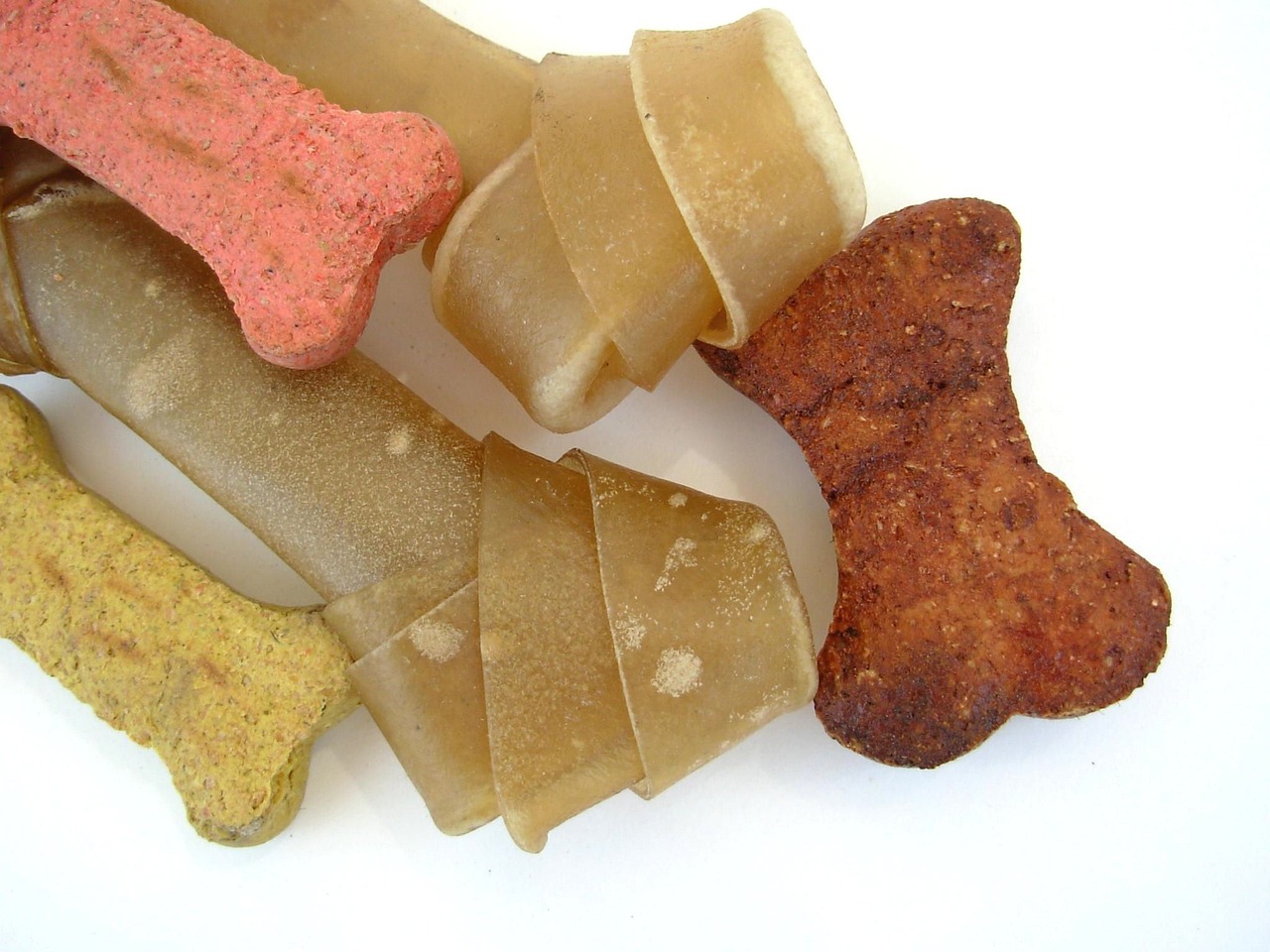 dog bones, puppy, animal, pet, dog food, food, bowl, pets, animals, nature, bone, supplies, dog biscuits, dog, mammal, biscuit, treat, dog treat, bones, brown, red, green, claws, brown food, brown dog, brown puppy