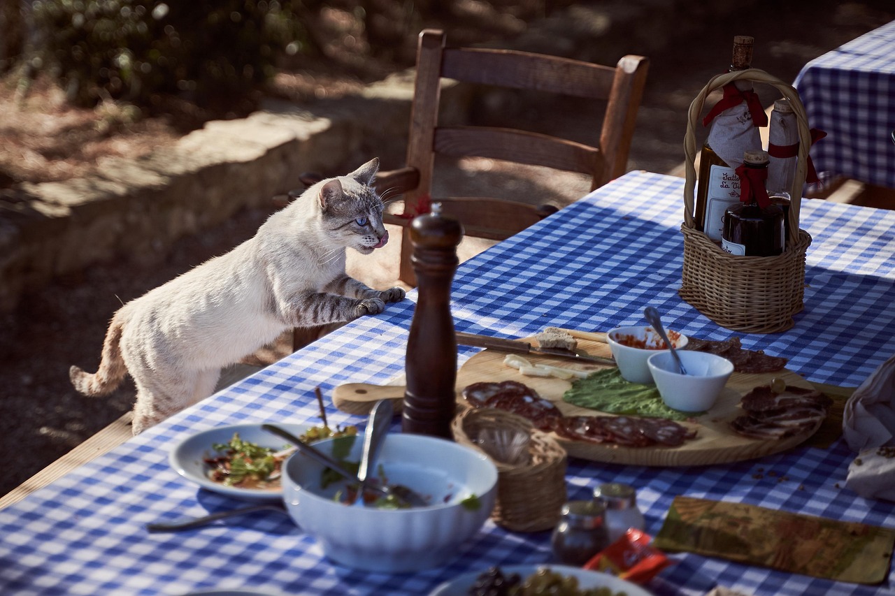 cat, table, dining table, feline, pet, mammal, animal, domestic cat, hunger, food, kitten, cute, hungry, animal world, lick, nature, tongue out