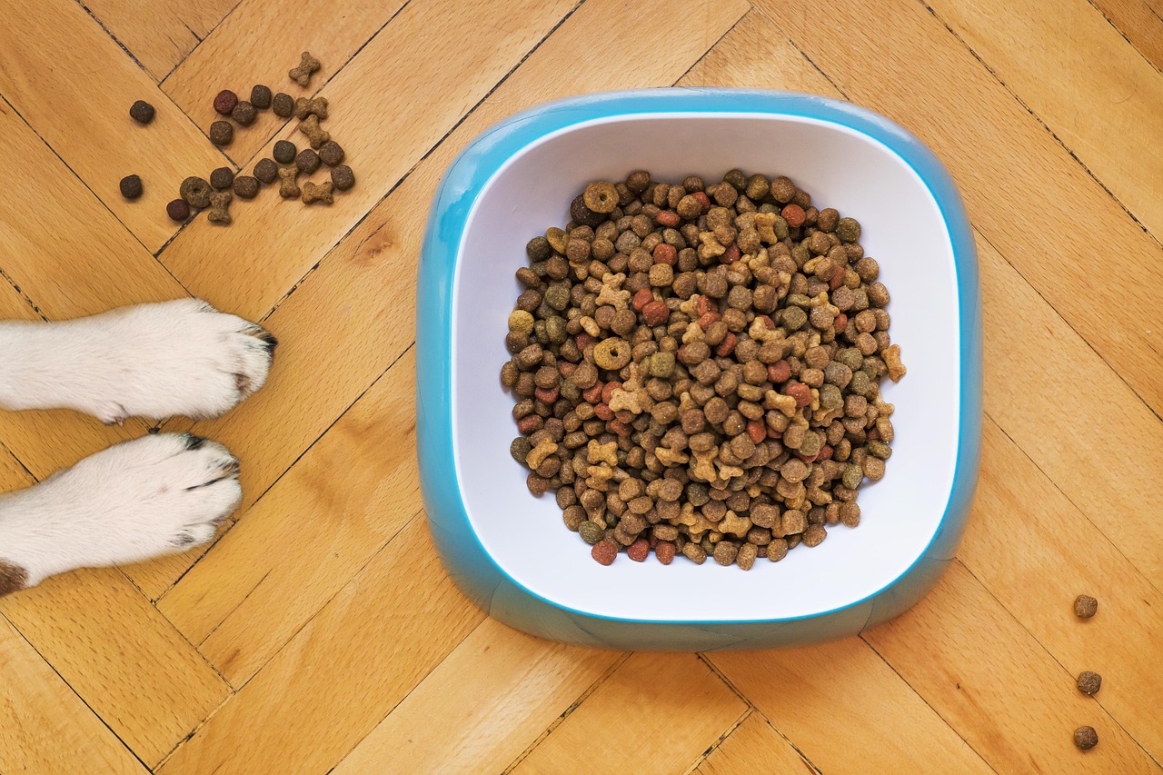 dry dog food, dog training, kibble, dog stay, dog training, kibble, kibble, kibble, kibble, kibble